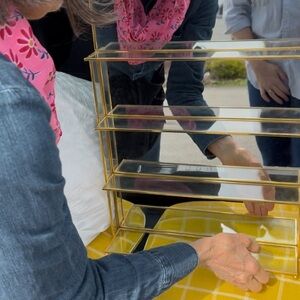 Vintage (maybe antique) Gold and Glass Display Case